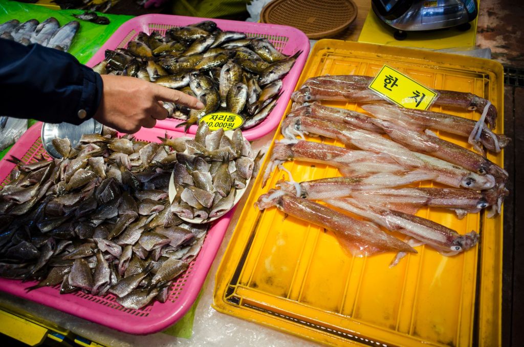 魚市場のトレーに並べられた魚とイカ、値札