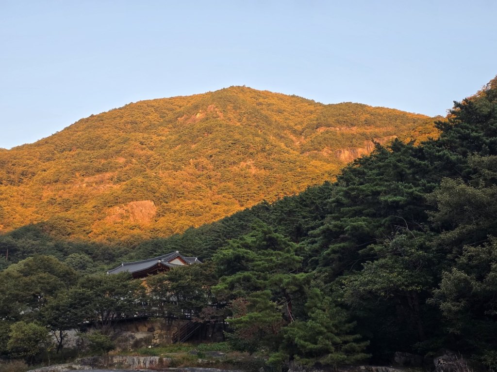 아침 햇빛을 받아 붉게 물든 산 능선과 그 아래 숲 사이로 보이는 기와지붕
